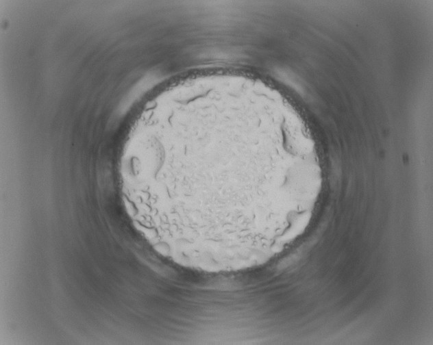 X0000076251259200610261931