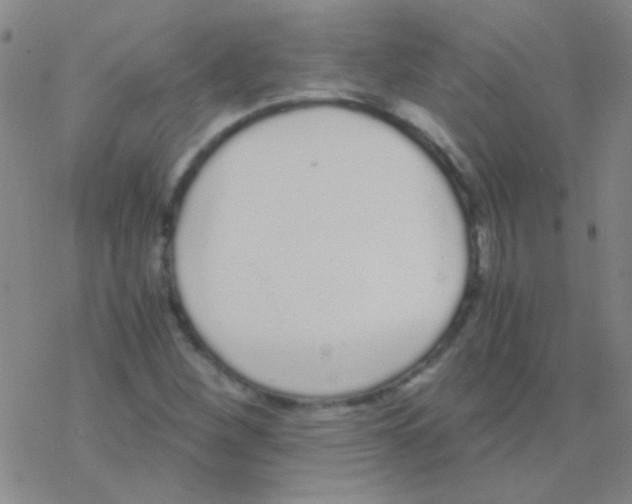 X0000076251260200610261931