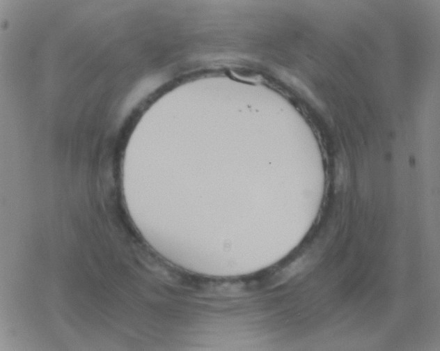 X0000076251261200610261931