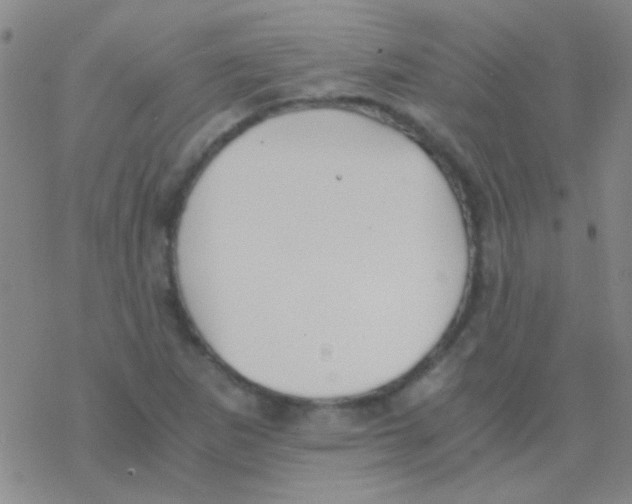 X0000076251265200610261931