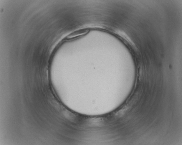 X0000076251268200610261931