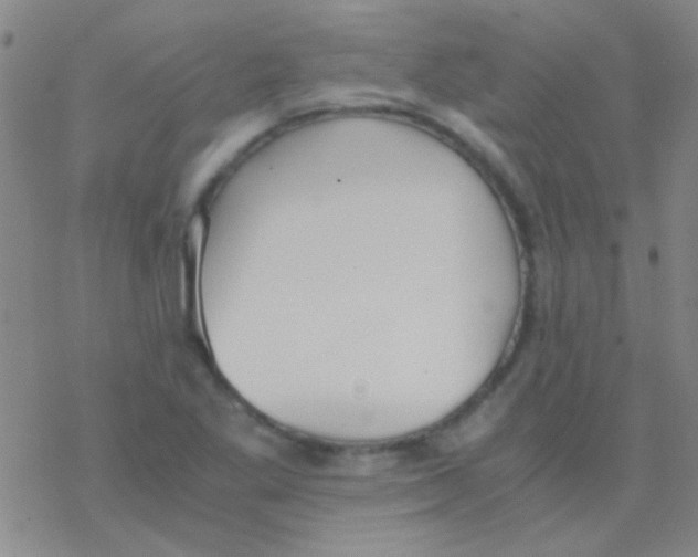 X0000076251269200610261931