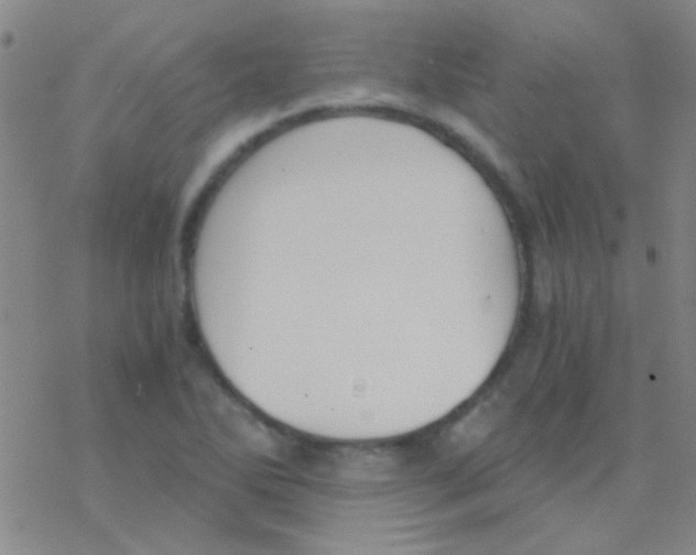 X0000076251270200610261931