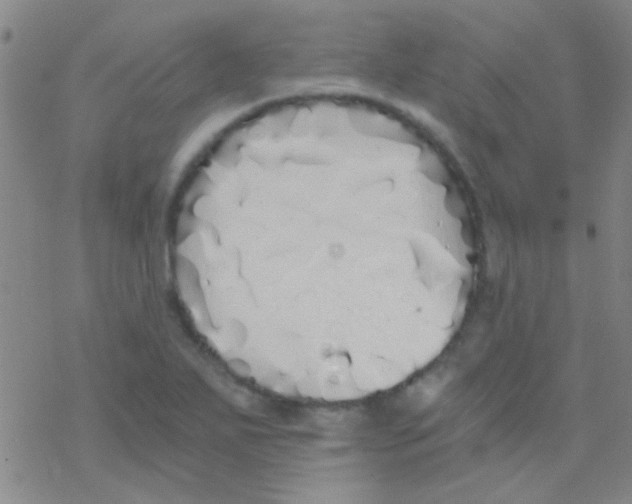 X0000076251271200610261931