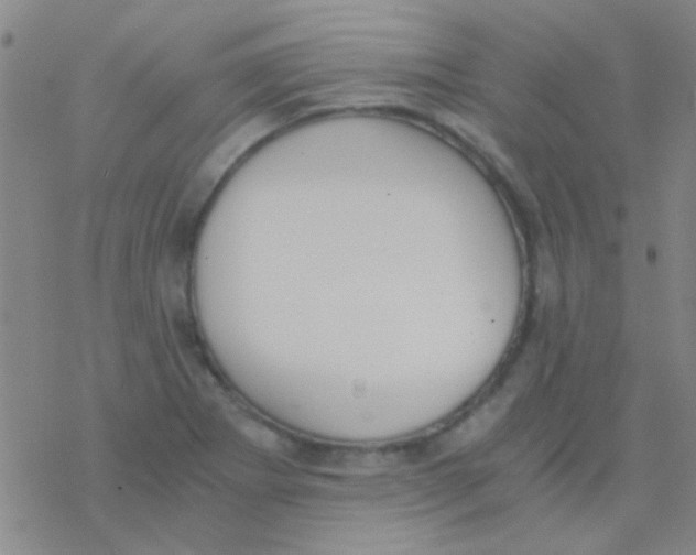 X0000076251273200610261931