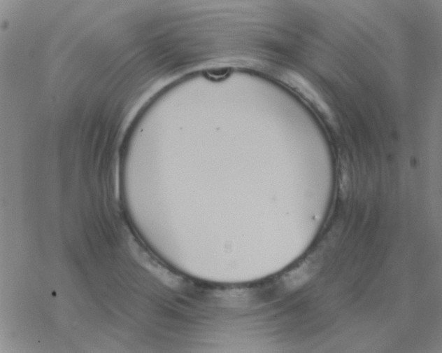 X0000076251276200610261931