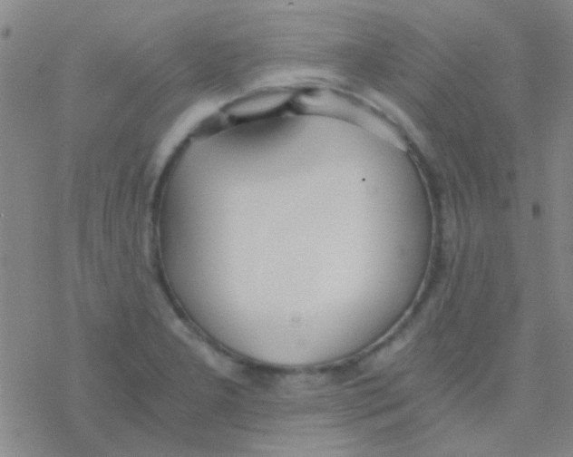 X0000076251277200610261931