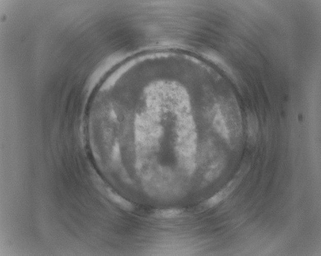 X0000076251278200610261931