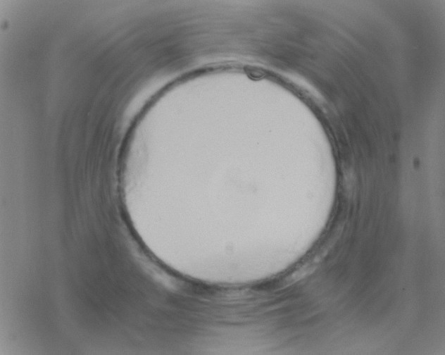 X0000076251279200610261931