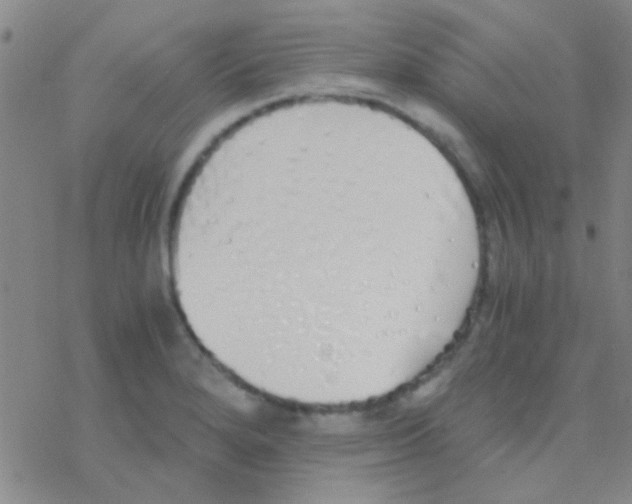 X0000076251280200610261931