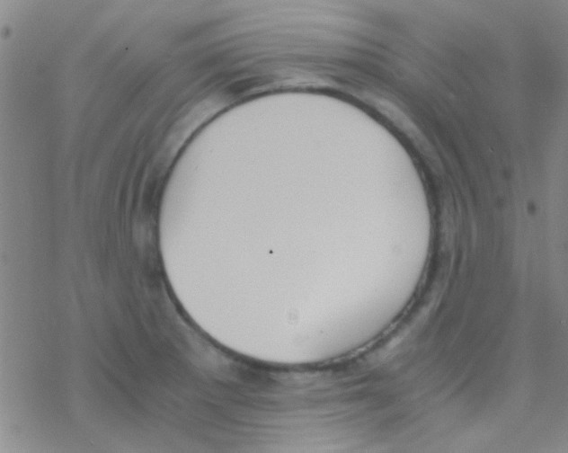 X0000076251281200610261931