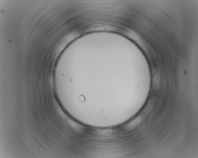 X0000076251282200610261931