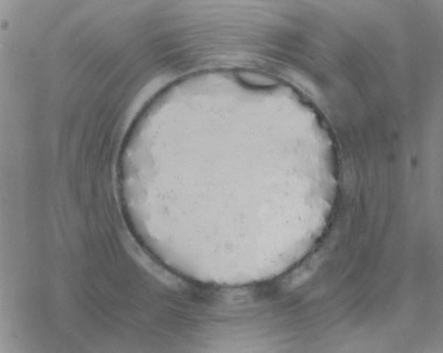 X0000076251283200610261931