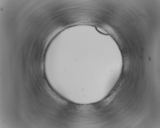 X0000076251284200610261931