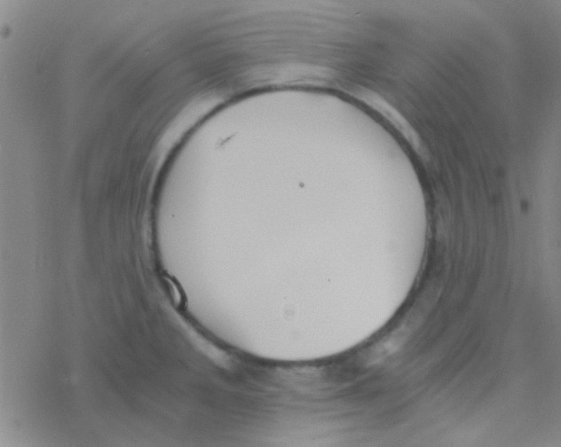 X0000076251285200610261931