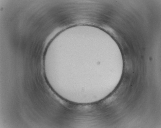 X0000076251286200610261931