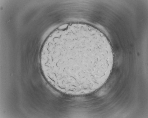 X0000076251287200610261931