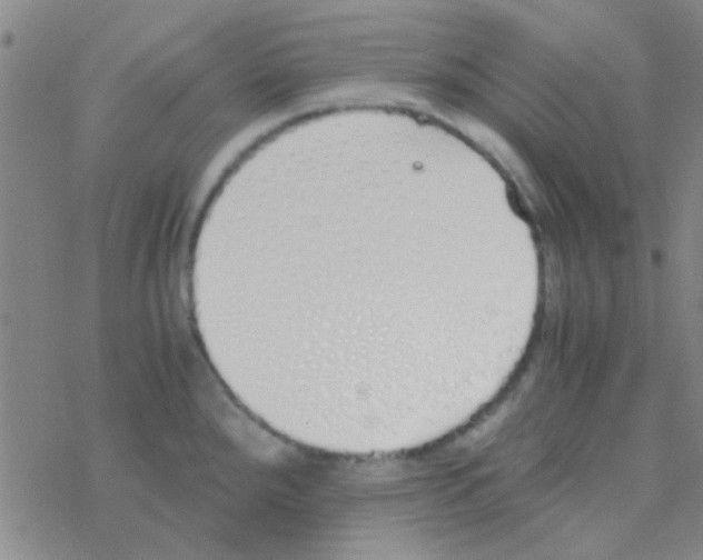 X0000076251288200610261931