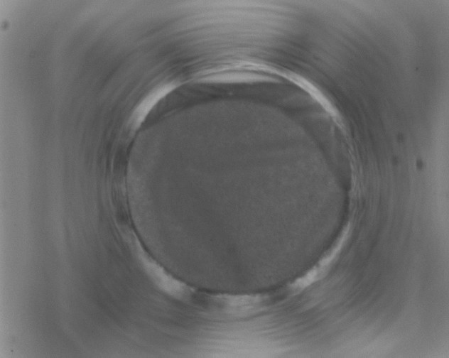 X0000076251289200610261931