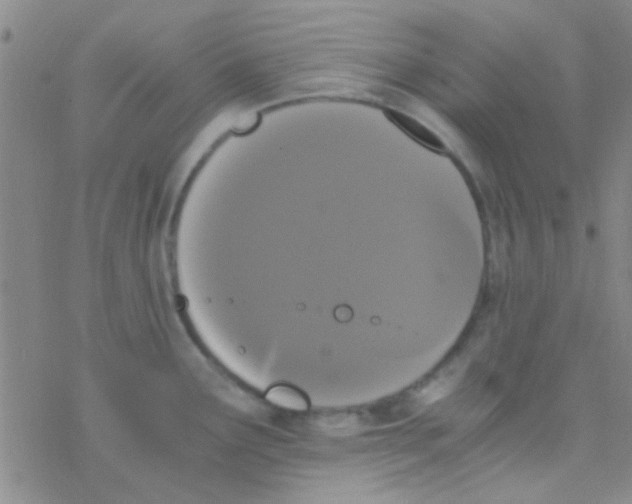 X0000076251291200610261931