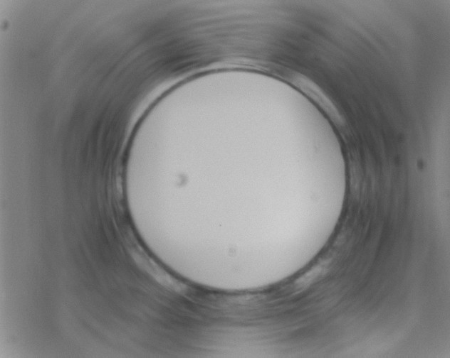 X0000076251292200610261931