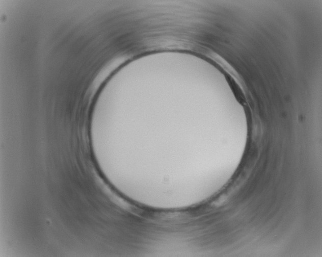 X0000076251293200610261931