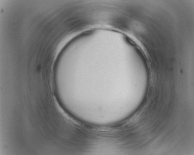 X0000076251295200610261931