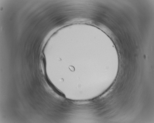 X0000076251296200610261931