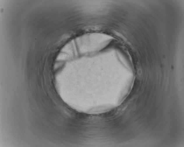 X0000076251297200610261930