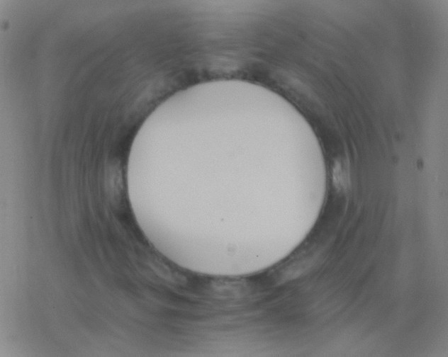 X0000076251299200610261930