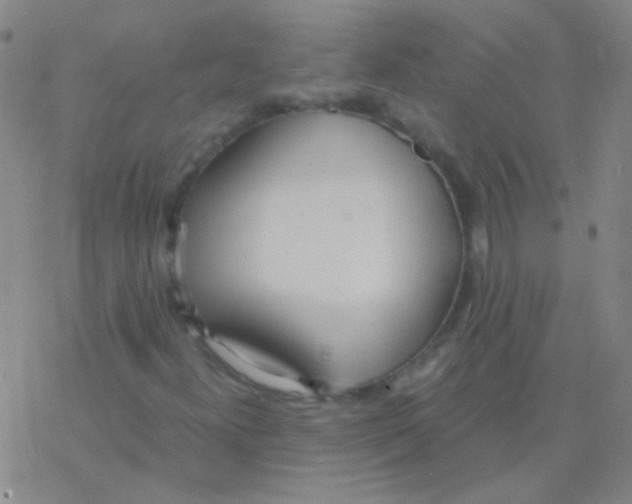 X0000076251300200610261930