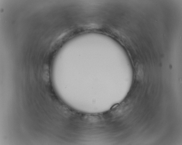 X0000076251301200610261930