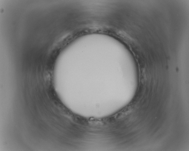 X0000076251302200610261930