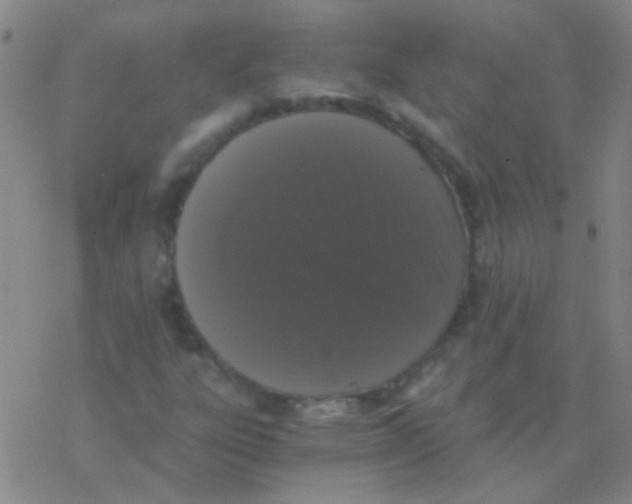 X0000076251303200610261930