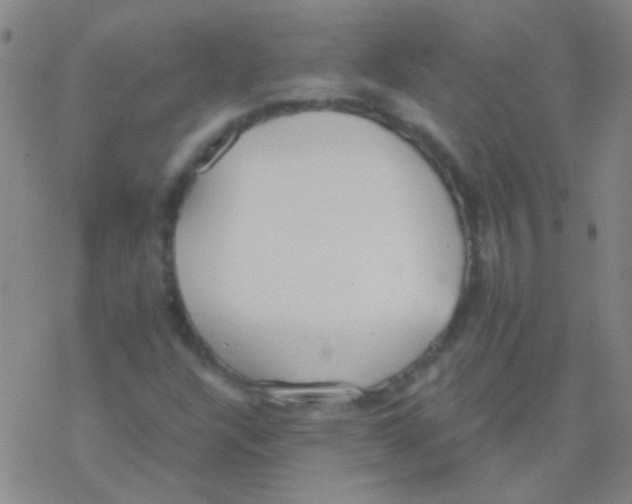 X0000076251304200610261930