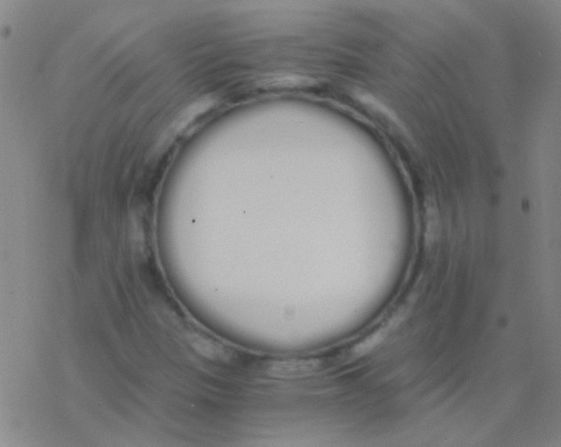 X0000076251305200610261930