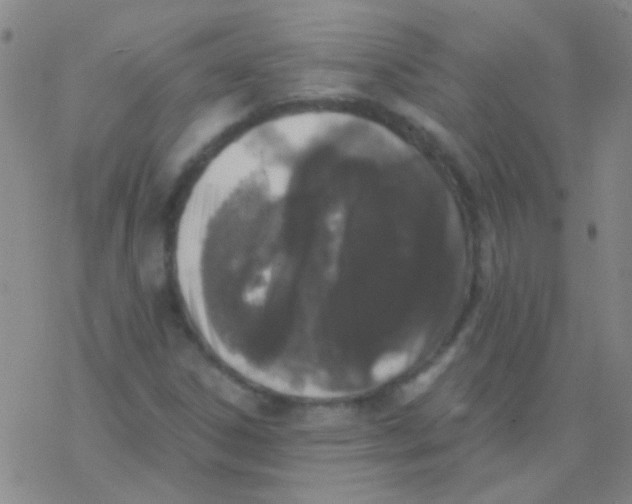 X0000076251306200610261930