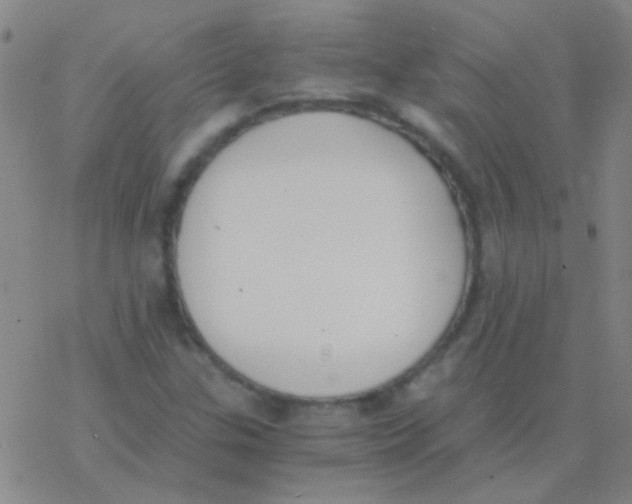 X0000076251307200610261930