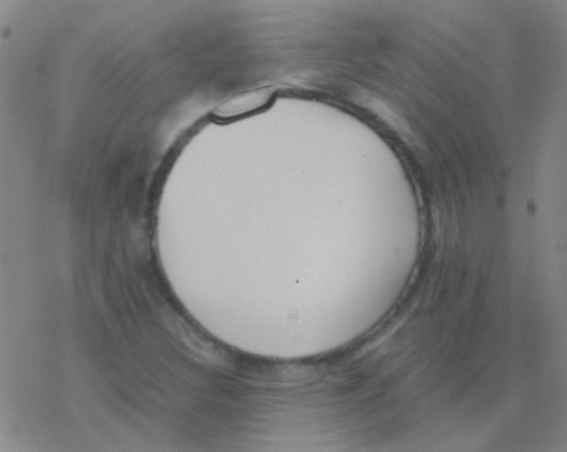 X0000076251308200610261930