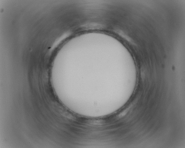 X0000076251309200610261930