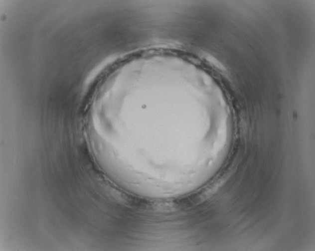 X0000076251310200610261930