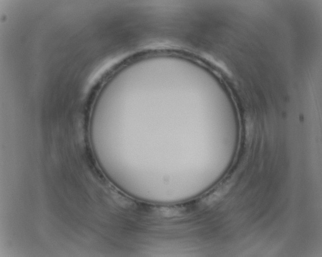 X0000076251311200610261930