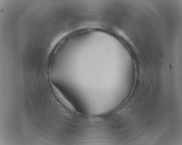 X0000076251312200610261930