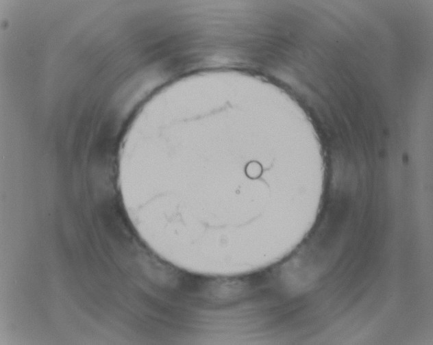 X0000076251314200610261930