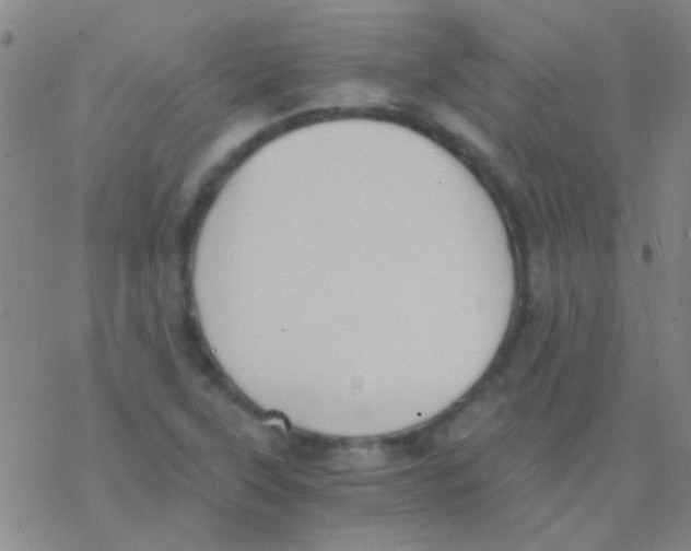 X0000076251315200610261930