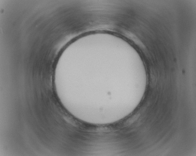 X0000076251316200610261930