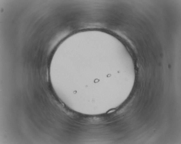 X0000076251317200610261930