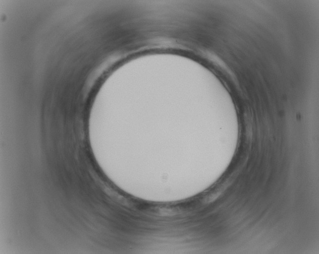 X0000076251318200610261930