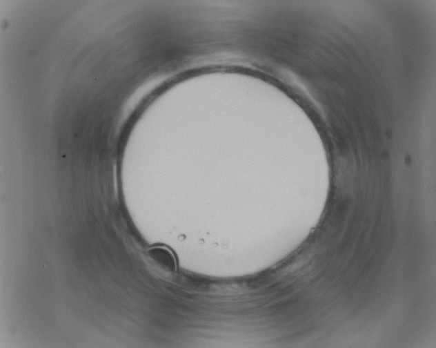 X0000076251320200610261930