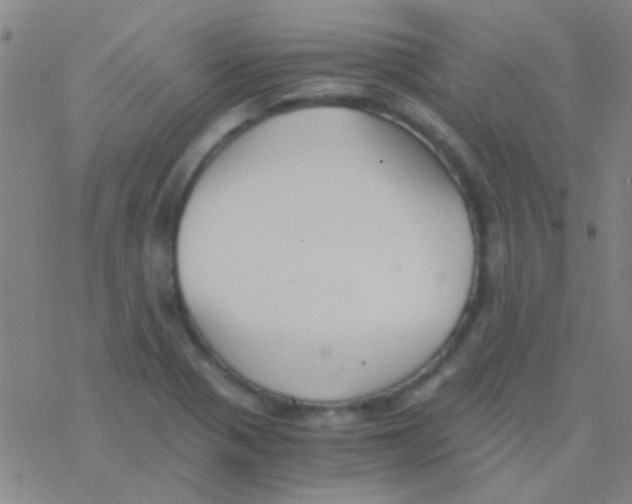 X0000076251321200610261930